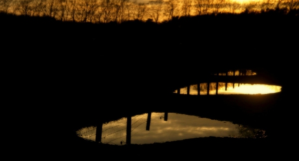 055 - Fotogroep Park-Heverlea - Dirk Dejaeghere - Tegenlicht